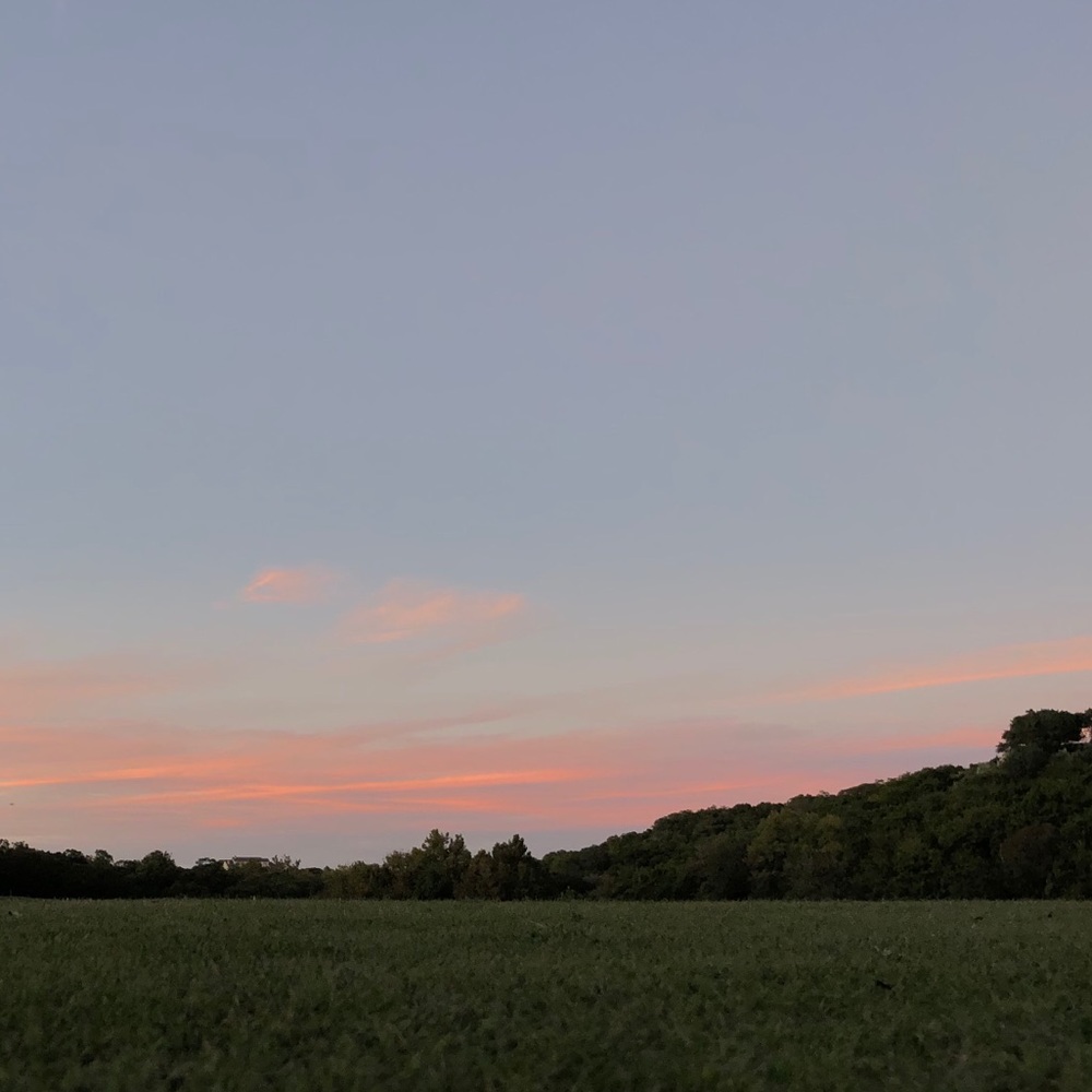 Meet your Posher, Dawson